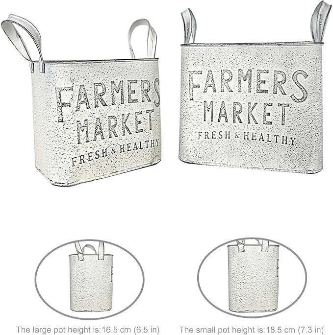 Vintage Metal Flower Planter Buckets with Handle Set of 2 Rustic Metal Flower Pots Farmhouse Plant Containers for Herb Succulent, Indoor Outdoor Garden Home Yard Bathroom Kitchen Decor (White)