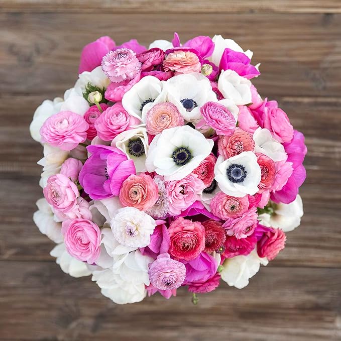 Eden Brothers Anemone & Ranunculus Bulbs - Moment in Time Mix