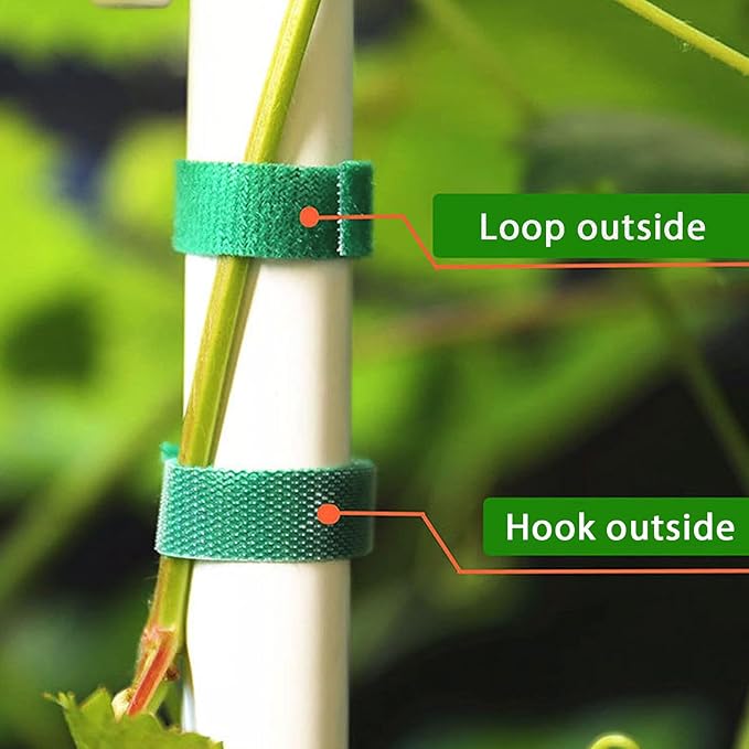 IFNOW Hook and Loop Tape Cable Ties Reusable Fastening Tape Garden Tie Strap Plant Supports Gentle on Plants Plant Ties Garden Tape for Plant (4, Green-0.4in)