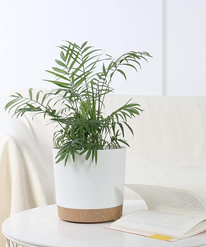 kubvici 8'' Plastic Flower Planter Pots Set of 2 Indoor Outdoor Planters with Drainage Saucer for Garden Home (Green & White, 8 inch)