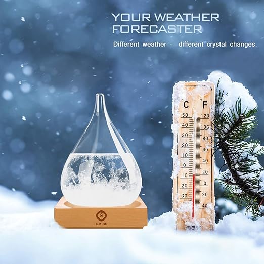 Storm Glass Weather Predictor,Christmas Snow Globe Storm Glass Barometer Weather Predictor, Home and Office Decorative Glass Bottles, Christmas Unique Gifts for Her (M)