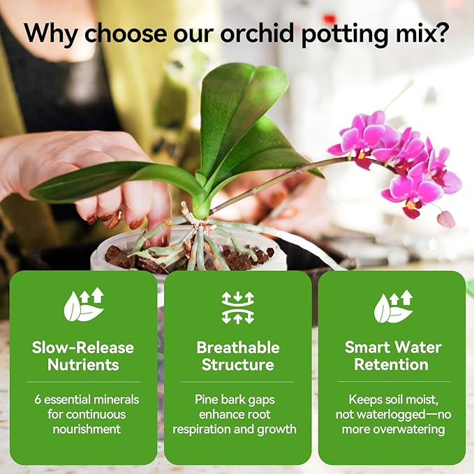 Orchid Bark Potting Mix with Pine Bark and Perlite, Fast Draining Orchid Soil for Healthy Roots, Ideal for Repotting Orchid and Orchid Bark for Indoor Plants (1 Quart)