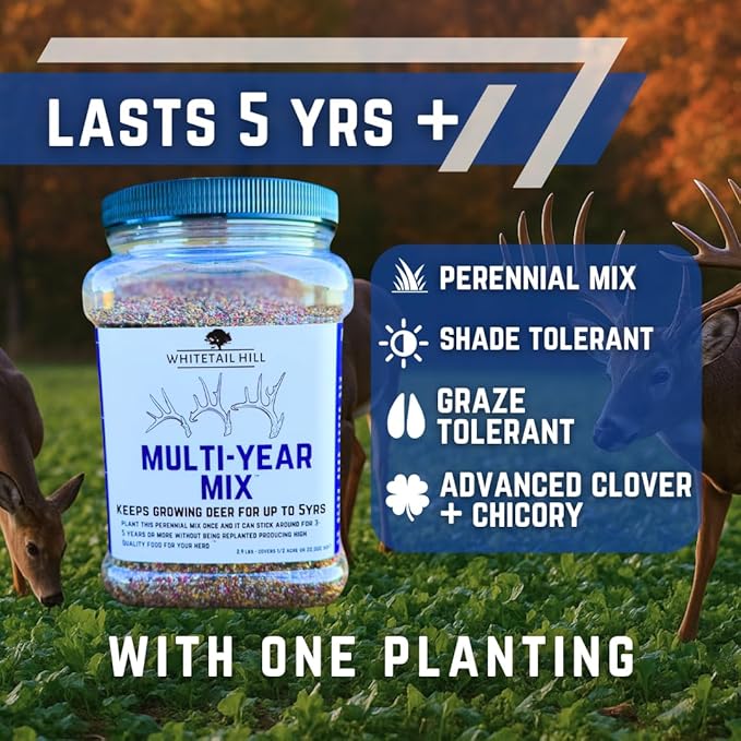 Whitetail Hill Multi-Year Mix Food Plot Seed Mix, 1/4 Acre or 2 Acres, Perennial Mix, Deer Food for 3-5 Years, Low Mainenance Food Plot, Clovers and Chicory