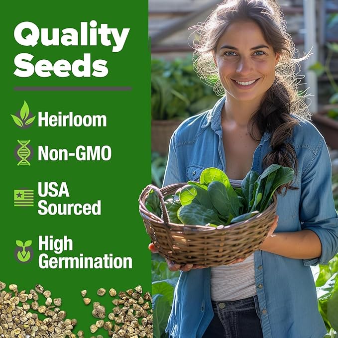 HOME GROWN Bloomsdale Spinach Seeds Pack – 353 Heirloom Seeds – High Germination Spinach for Indoor, Outdoor, Hydroponic Planting & Home Gardens (Spinacia oleracea)