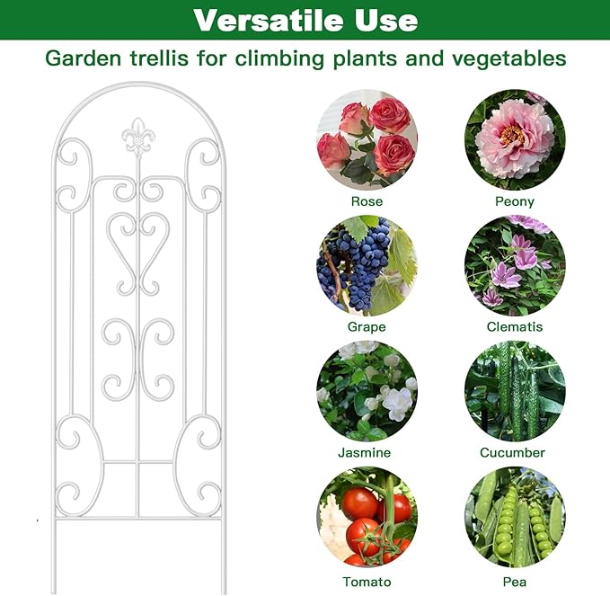 AMAGABELI Garden & Home 2 Pack 60" x 18" Garden Trellis for Climbing Plants Outdoor Plants Roses Trellis Vegetables Vines Flowers Clematis Metal White Trellis