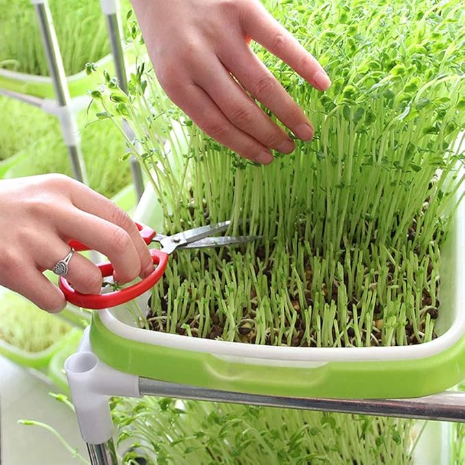 Plastic Growing Trays, Seed Tray with Germination Layer and Water Storage Layer, Double-Layer Design, for Seedlings, Indoor Gardening, Growing Microgreens, Wheatgrass(Purple)