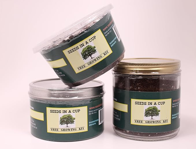 Grow Your Own Date Palm Tree Seed Kit - 100% Guaranteed Germination or We Will Replace Seeds (Plastic Planter)
