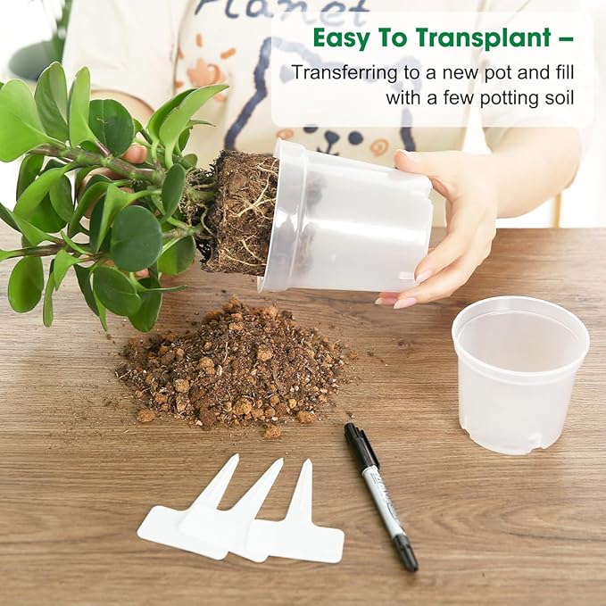 4.3 Inch Clear Nursery Pots for Plants, Transparent Plastic Plant Pots with Drain Holes, Seed Starter Pots with 20 Plant Labels for Flowers Vegetable Seedlings 20 Packs