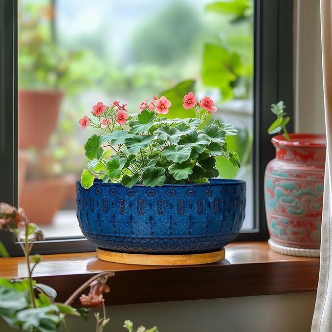 Bonsai Pots - 8 Inch Ceramic Succulent Pots with Drainage Hole and Saucer, Planters for Indoor Plants, Modern Round Decorative Flower Planter, Home Decor, Housewarming Gifts, Blue