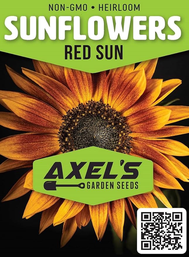 Sunflower Seeds for Planting - Heirloom Non-GMO Red Sun Sunflower Seeds to Plant & Grow Home Outdoor Garden - Great Gardening Gift, 1 Pound