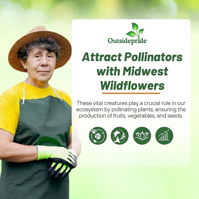 Outsidepride Midwest Wildflower Seed Mix - 5 Lbs Premium Blend of Annual & Perennial Native Wildflower Seeds for Midwestern States, Attracts Pollinators, Low-Maintenance, Ideal for Meadows & Gardens