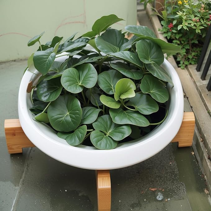 Baderke 2 Pcs Lotus Bowl Planter with Base Ceramic Hydroponic Planter Water Lily Bowl for Planting Aquatic and Indoor Plants Household Ceramic Basin Decor(White)