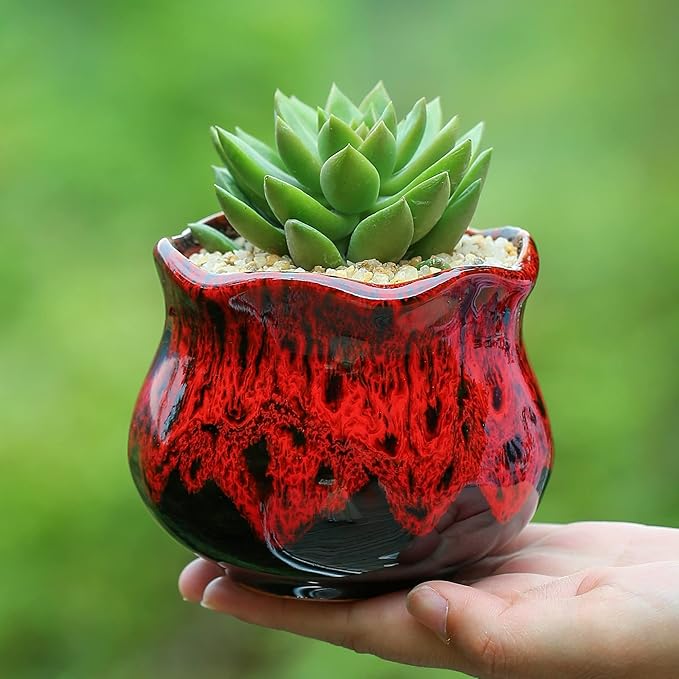 Cute Ceramic Succulent Planters, Garden Pots with Drainage and Attached Saucer, Set of 6 - Plants Not Included