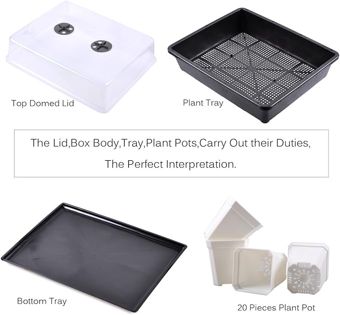 eZAKKA 37x30cm Seed Starter Tray Seedling Starter Kit Planting Propagation Trays Germination Kit Humidity Dome with 20 Pieces Square Seed Starter Pots (White Pots)