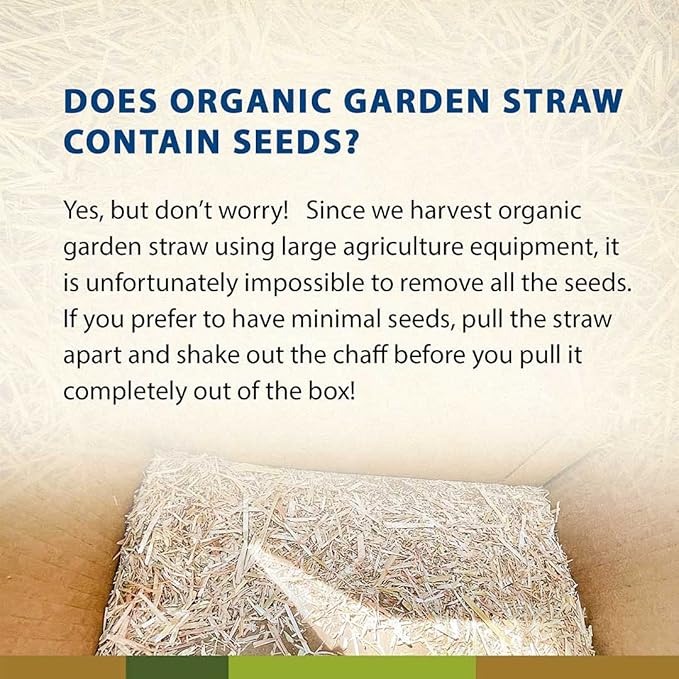 Blue Mountain Hay | Organic Garden Straw (5 lb) | Natural Mulch for Gardening, Flower Beds, Yard Landscaping, New Lawn Grass Seeding, Composting | Covers up to 75 sq ft