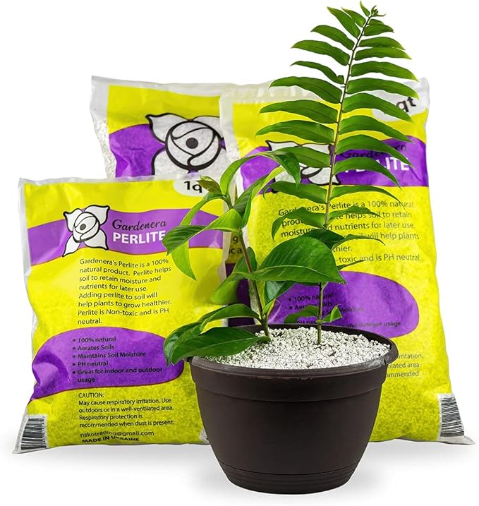 Gardenera Organic Perlite - Medium/Fine Grade (5 Quart Bag) Horticultural Soil Amendment for Indoor & Outdoor Container Plants for Drainage Management and Enhanced Growth