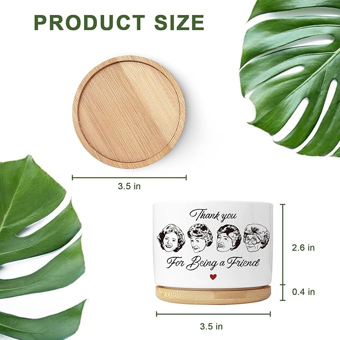 Friend Gifts for Women, Succulent Planter, Flower Cactus Plant Pot, Friendship Gifts for Women Friends Bestie Sister, Golden Merchandise, Thank You for Being A Friend (No Plants)