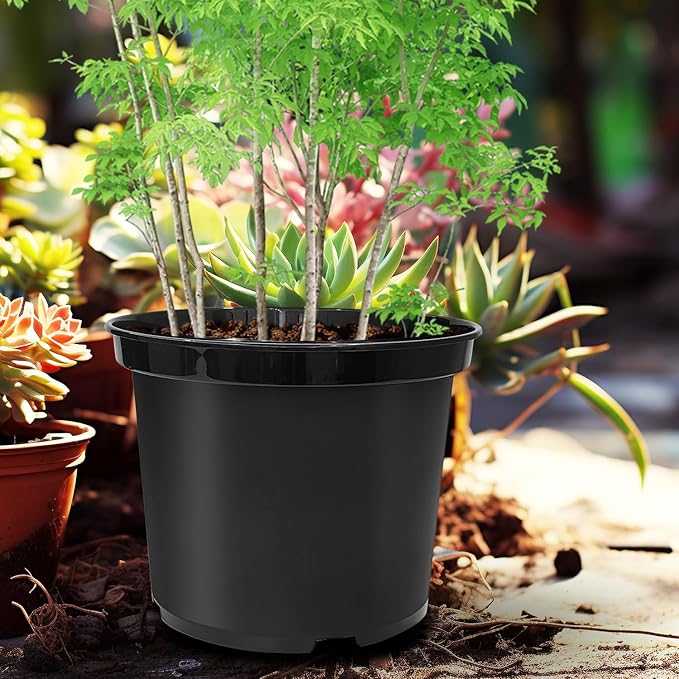 5 Gallon Nursery Pots 10-Pack, 12 Inch Plastic Planter with Drainage Holes – Round, Sturdy, Deep Design for Indoor/Outdoor Plants