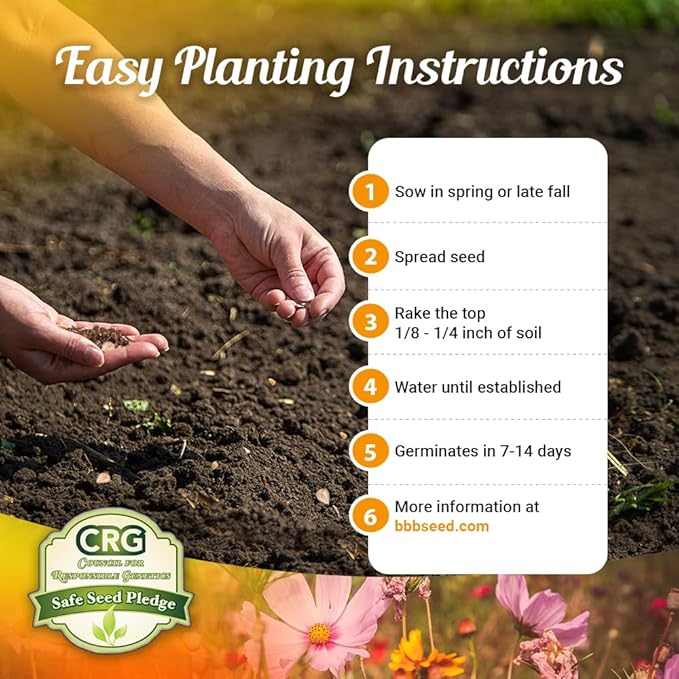 Drought Tolerant Wildflower Seeds - 4oz, Open-Pollinated Bulk Flower Seed Mix for Beautiful Perennial, Annual Garden Flowers - No Fillers - 4 oz Packet