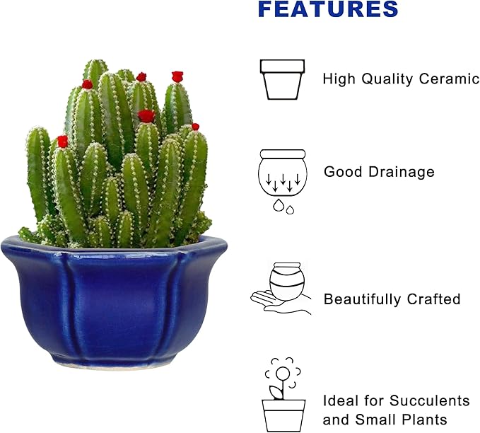 Bonsai Planter Succulent Mini Glazed Pots Value Set of 4, with 4 Soft Mesh Drainage Screens
