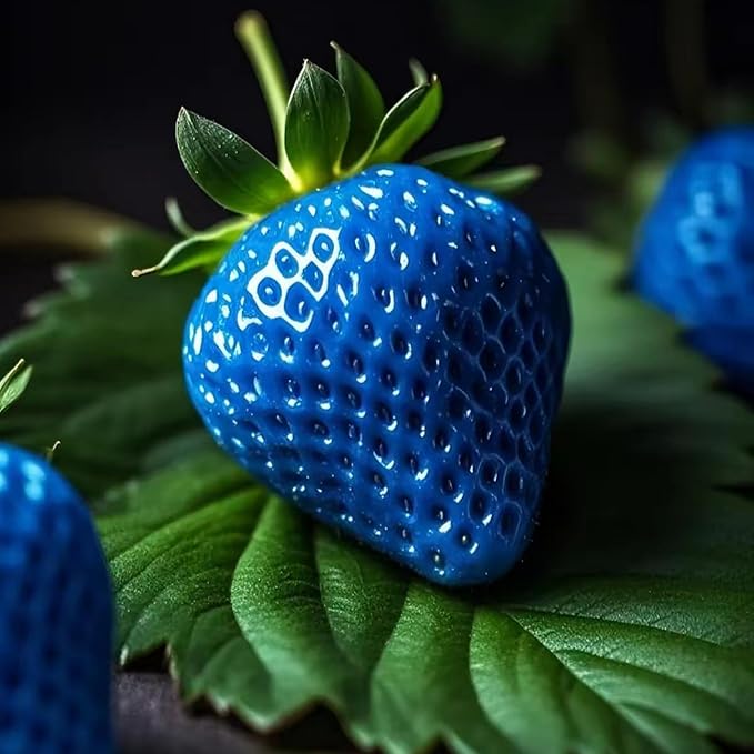 499pcs Mixed Strawberry Cranberry Seeds Kit for Planting (Four Varieties of Strawberries, A Type of Red Berry Seeds), Non-GMO Hardy Plants Fruits Seeds, Home Garden Plants for Outdoors