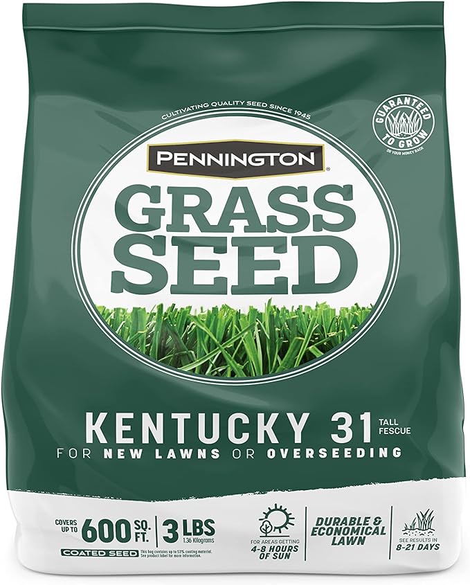 Pennington Kentucky 31 Tall Fescue Penkoted Grass Seed 3 lb