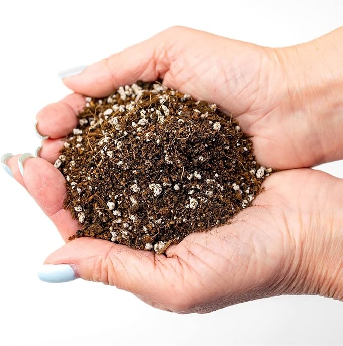 GARDENERA Premium Organic Potting Soil for Brussel Sprouts - (3 Quart Bag)