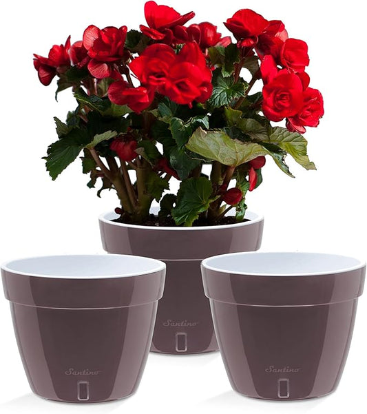 Santino ASTI 7.9 Inch Self Watering Planters Shade/White (Set of 3) for Indoor Plants - Premium Quality Modern Plastic Pot w/Water Level Indicator for All House Plants, African Violets and Dahlias