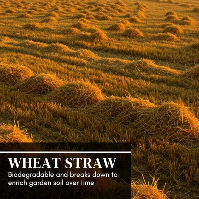 100% Natural Wheat Straw for Animal Bedding, Garden Mulch, Compost & Fertilizer, and Grass Cover (15 Pounds)