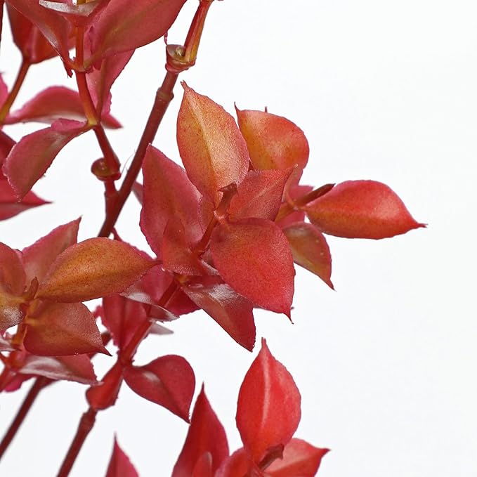 Artificial Burgundy Eucalyptus Stems 26.7" Fall Fake Leaf Branches for Floral Arrangements, Red Faux Autumn Plant Farmhouse Decor, Home Wedding Decorations