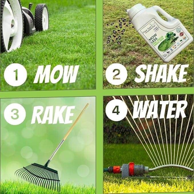 Flawn Seed Kits Mow Less Fine Fescue Grass Seed, Low Maintenance Lawn, Easy Spread Shaker Jug with Handle, 2 Lbs Covers up to 1000 Sqft
