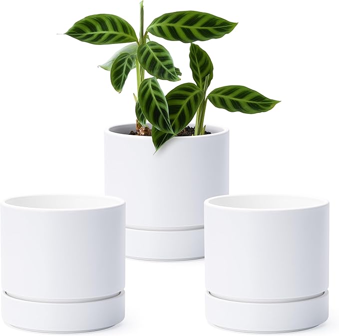 6 Inch Modern Plastic Round Pots for Indoor Houseplants and Herbs, Pack of 3 Planter Pot with Drainage Hole & Saucer, Deep Water Catch Tray, Straight Cylindrical Pot for Plants, Matte White, 23-D-S-1