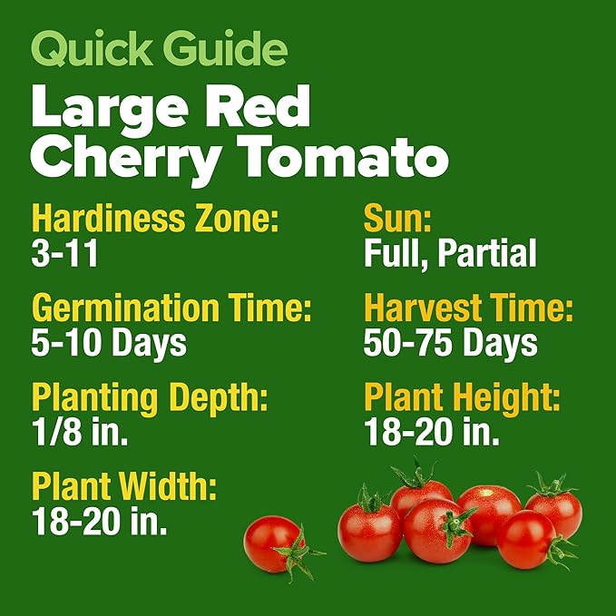 HOME GROWN Large Red Cherry Tomato Seeds Pack– 500 High Germination Heirloom Seeds – Non GMO Vegetable Seeds for Garden,Homestead & Self-Sufficient Growing(Solanum lycopersicum)