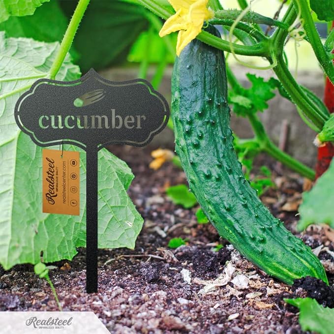 RealSteel - Seed & Plant Markers - Indoor/Outdoor Herb Garden Stakes - Elegant Fruit/Vegetable Seed Labels - Durable Plant Tags for Pots - Classy Design for Farmhouse/Greenhouse (Radish)