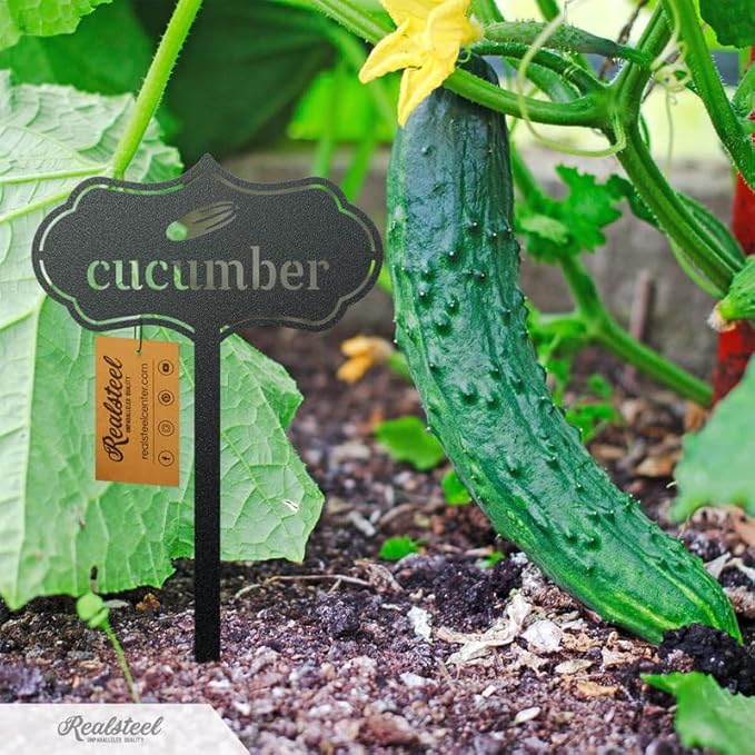 RealSteel - Seed & Plant Markers - Indoor/Outdoor Herb Garden Stakes - Elegant Fruit/Vegetable Seed Labels - Durable Plant Tags for Pots - Classy Design for Farmhouse/Greenhouse (Oops)