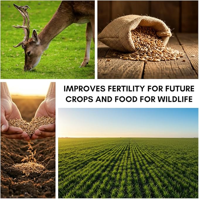 Rye Grass Seed - Fast Growing and Hardy Grass, Cover Crop, Food Plot. Grazing Pasture Seeds (50 Pounds)