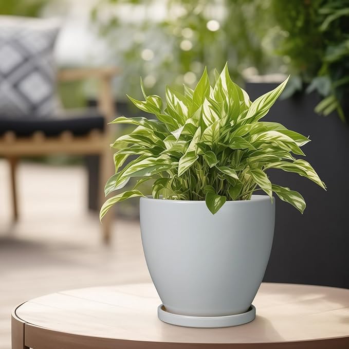 6.8 Inch Planter - Ceraimc Pots for Indoor Outdoor Plants Round Planters Modern Flower Pot with Drainage and Tray Home Garden Decor Gray