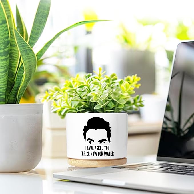 Funny Succulent Planter, Flower Cactus Plant Pot for Indoor Plants, Fun Planter Pots with Drainage and Tray, Office Home Windowsill Decor Planter Gift for Coworker Men (No Plants)