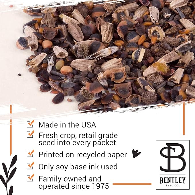 Bentley Seed Garden Variety Pack - Non-GMO Heirloom Vegetable Seeds for Planting - Assorted Herb Collection - 11 Herb Packets