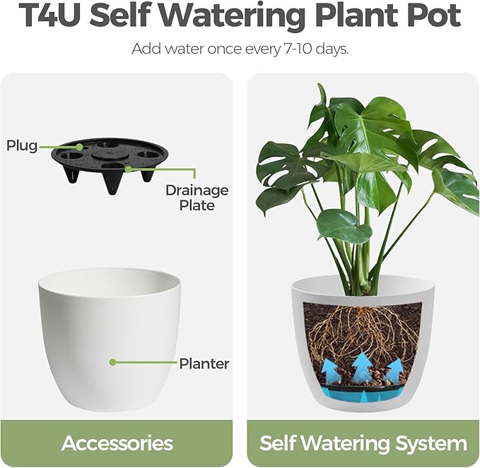 T4U 6 Inch Self Watering Planters Plastic Plant Pot, Modern Decorative Flower Pot/Window Box for All House Plants, Flowers, Herbs, African Violets, Succulents - White, Set of 6