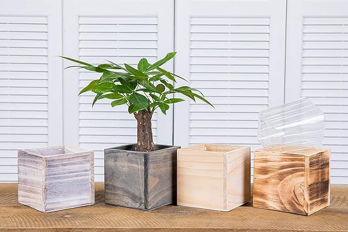 Clear Plastic Liners Inserts for Wood Boxes and Planters (2.75”x 3.75”)(Sell in Pack of 12) (to fit Square 4" Planter) (L040404)