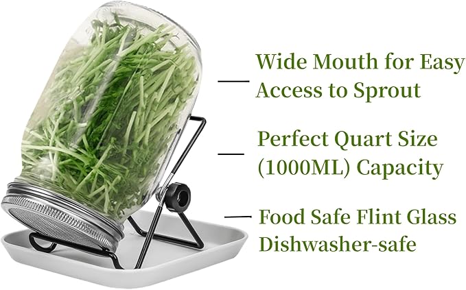 Lulonpon 2pcs Sprouts Growing Jar Kit, Wide Mouth Quart Mason Jars with Stainless Steel Screen Sprout Lids, 86mm,1000ml,Stand,Tray and Canning Brush,Seed Sprouter Set for Broccoli, Alfalfa, Mung Bean