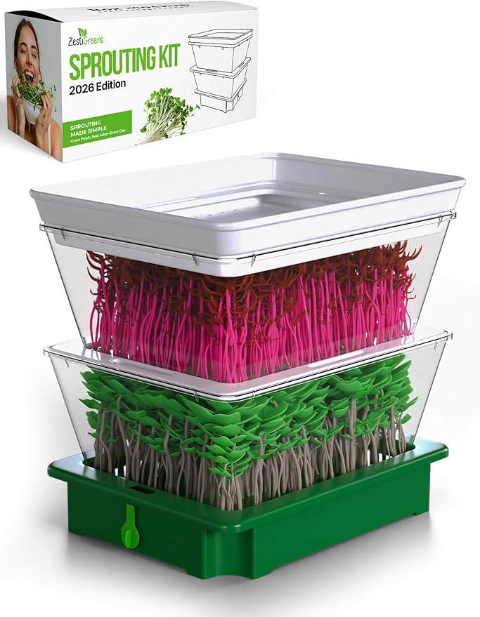 ZESTIGREENS 2-Tier Sprouting Kit with Drain Spout – Stackable Seed Sprouter Trays for Growing Fresh Sprouts at Home – BPA-Free, Easy Rinse & Drain System