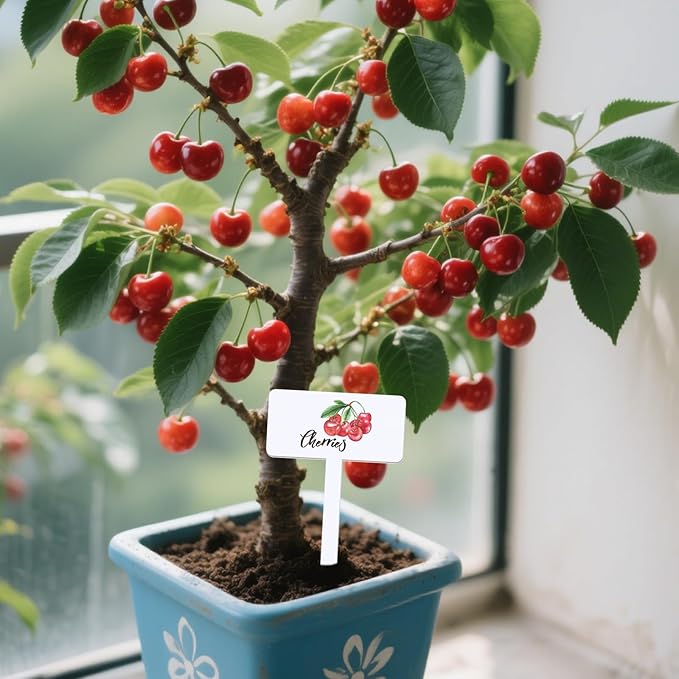 30 Pcs Acrylic Fruit Plant Labels for Outdoor Garden Waterproof Garden Markers for Plants, Fruit Seeds Name Tags for Planting 15 Styles T-Type Reusable Plant Labels for Nursery Decoration