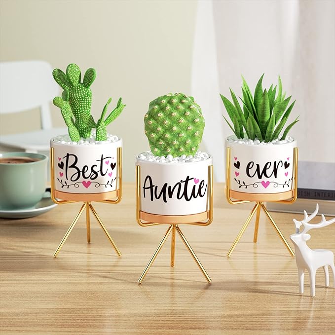 MAYICIVO Christmas Aunt Gifts from Niece Nephew, Best Gifts for Aunt, Best Auntie Ever Gifts Succulent Pots for Plants Indoor Ceramic Planter, Gift Boxed Aunt Birthday Gifts for Aunt Auntie