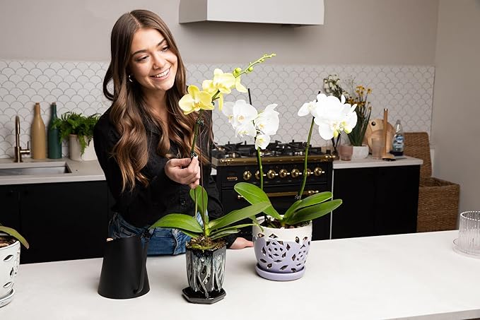 rePotme 4 x 6 inch Ceramic Orchid Pot (Honey Cream Over Coffee) - Hexagon Orchid Pot with Holes