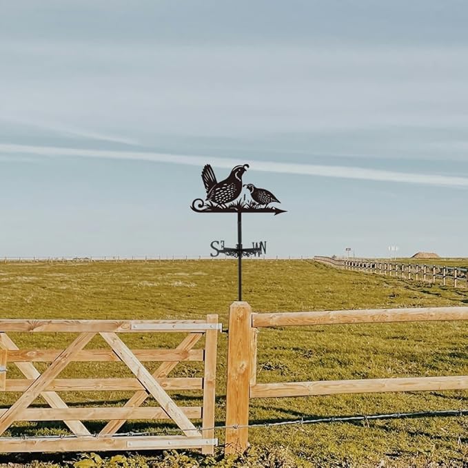 SUPERDANT Quail Weather Vane Animal Birds Wind Vanes for Yard Metal Weathervane Roof Mount for Gardens Outside Black Weathervanes Farmhouse Farm Barn Sheds Patio Decorations Gift