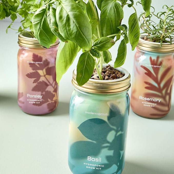 Modern Sprout Garden Jars + Smart Growbar Bundle - Self-Watering Hydroponic Herb Growing Kit with Full-Spectrum LED Grow Light, Organic Herb Seeds, Smart App, Adjustable Brightness, Ideal for Gifting
