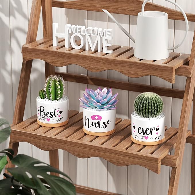 Best Nurse Gifts for Women Christmas, Funny Gifts for Nurse, Nurse Practitioner Gifts Best Nurse Ever Succulent Pots for Plants Indoor Ceramic Planter, Gift Boxed Nurses Day Gifts Nurse Birthday Gifts