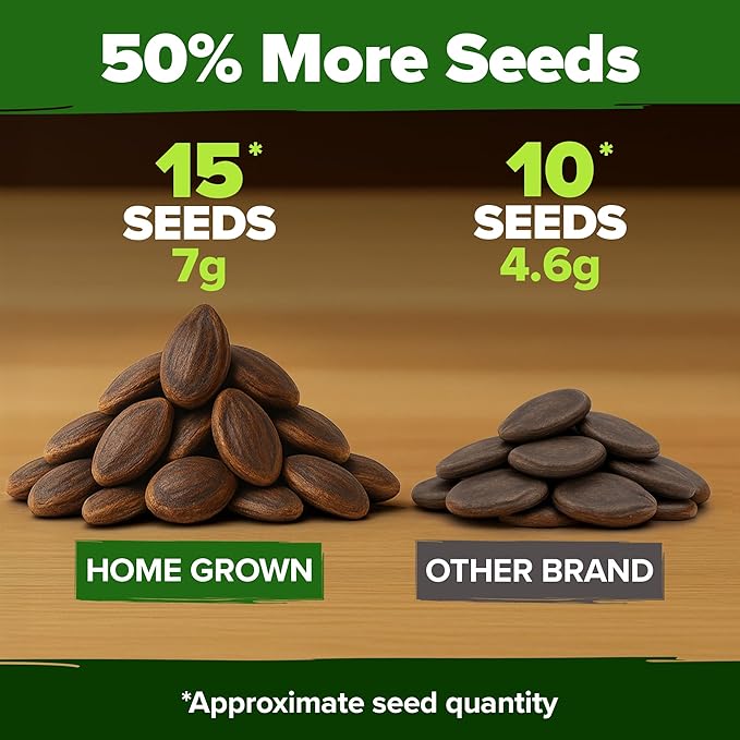 HOME GROWN Watermelon Vegetable Seeds (Crimson Sweet) – 15 Non-GMO, Heirloom Water Melon (7g) for Planting in Home Gardens or Beds Outdoors – Citrullus lanatus